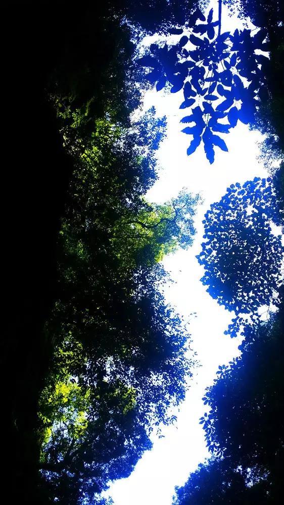 周杰伦发《最伟大的作品》,新歌秒上热搜第一,他的影响力为何如此之大?- 专业的问答网站