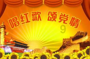萌宠大连接